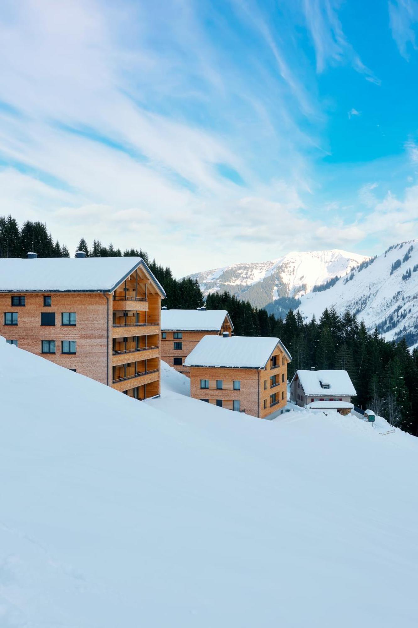 Alpenstolz Damuels Haus 3 - Stilvoll Urlauben In Den Bergen Appartement Buitenkant foto